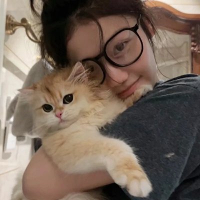 古惑仔情义篇之洪兴十三妹
