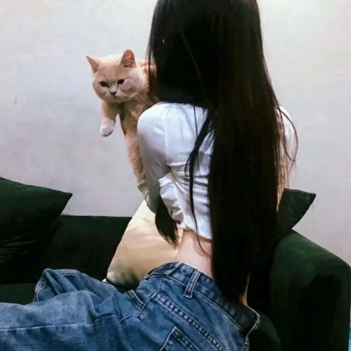 戴罪立功